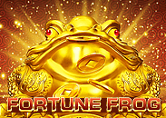 Super Cash Winner Fortune Frog