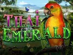 All New Features at Thai Emerald